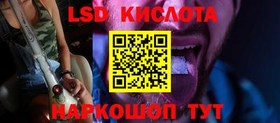 гашик Камышлов