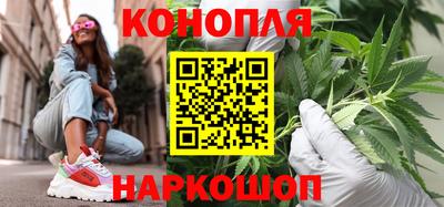 гашик Камышлов