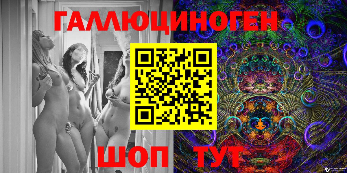 цена наркотик  Вход с VPN  Галлюциногенные грибы Magic Shrooms  Курчалой  Псилоцибиновые грибы Psilocybine cubensis 